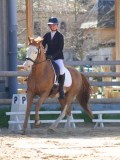 IMG_0856 IMG_0856