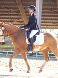 IMG_0859 IMG_0859