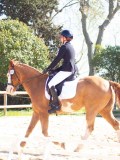 IMG_0860 IMG_0860