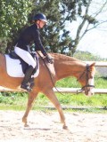 IMG_0864 IMG_0864