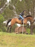 24_09504 24_09504