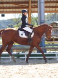 IMG_0885 IMG_0885