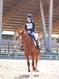 IMG_0888 IMG_0888