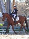 IMG_0895 IMG_0895