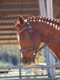 IMG_0941 IMG_0941
