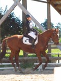 IMG_0943 IMG_0943