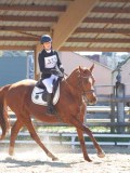IMG_0945 IMG_0945