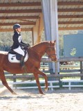 IMG_0949 IMG_0949