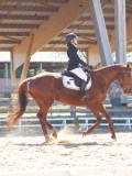 IMG_0951 IMG_0951
