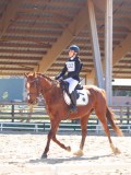 IMG_0953 IMG_0953