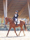 IMG_0955 IMG_0955