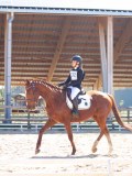 IMG_0957 IMG_0957