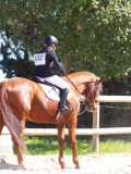 IMG_0960 IMG_0960
