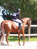 IMG_0962 IMG_0962