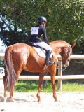 IMG_0964 IMG_0964
