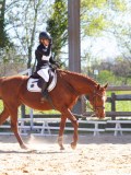 IMG_0966 IMG_0966