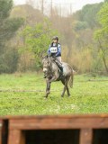 DSC05284 DSC05284