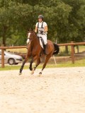 DSC06339 DSC06339