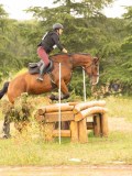 DSC08654 DSC08654