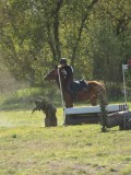 24_06909 24_06909