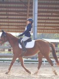 IMG_0535 IMG_0535