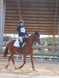 IMG_0539 IMG_0539
