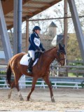 IMG_0541 IMG_0541