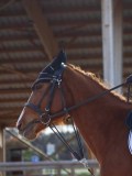 IMG_0547 IMG_0547