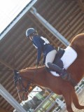 IMG_0554 IMG_0554