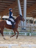 IMG_0555 IMG_0555