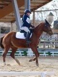 IMG_0556 IMG_0556