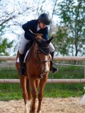 IMG_0566 IMG_0566