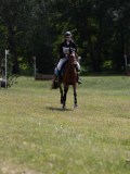 IMG_3831 IMG_3831