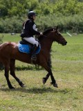 IMG_3834 IMG_3834