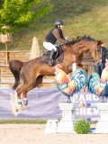 DSC06799 DSC06799