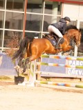 DSC05686 DSC05686