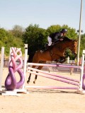 DSC04645 DSC04645