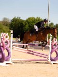 DSC04646 DSC04646