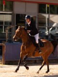 DSC04657 DSC04657