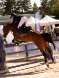 DSC04659 DSC04659