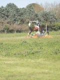 24_07021 24_07021