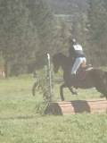 24_07030 24_07030