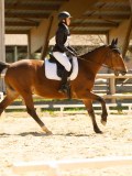 DSC09599 DSC09599