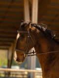 DSC09625 DSC09625