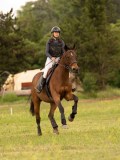 DSC09446 DSC09446
