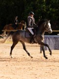 DSC03858 DSC03858