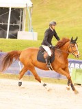 DSC02515