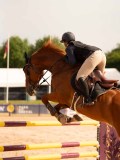 DSC01434 DSC01434