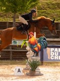 DSC01439 DSC01439