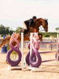 DSC01441 DSC01441